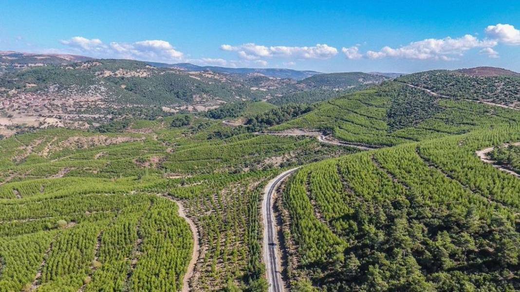 Tam 27 ilde resmen yasaklandı! Ormanlara giremeyeceksiniz - Resim: 24